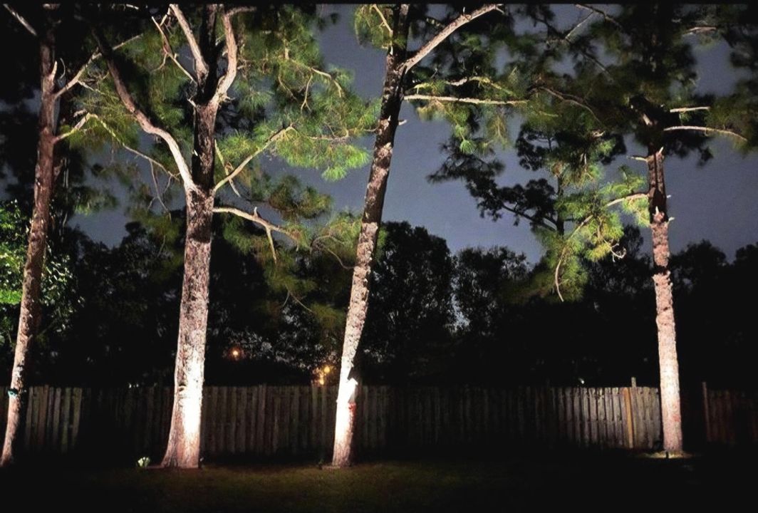 合同活跃: $3,100 (3 贝兹, 2 浴室, 1825 平方英尺)