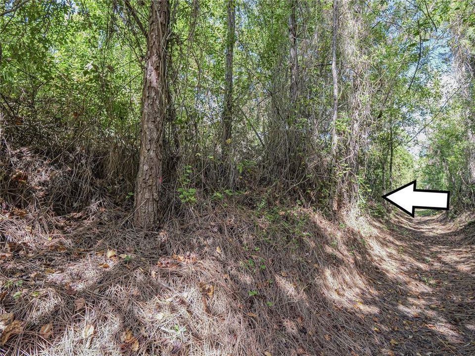 En Venta: $45,000 (0 camas, 0 baños, 0 Pies cuadrados)