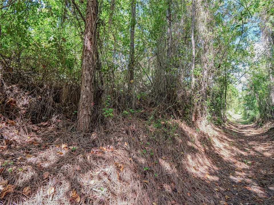 En Venta: $45,000 (0 camas, 0 baños, 0 Pies cuadrados)