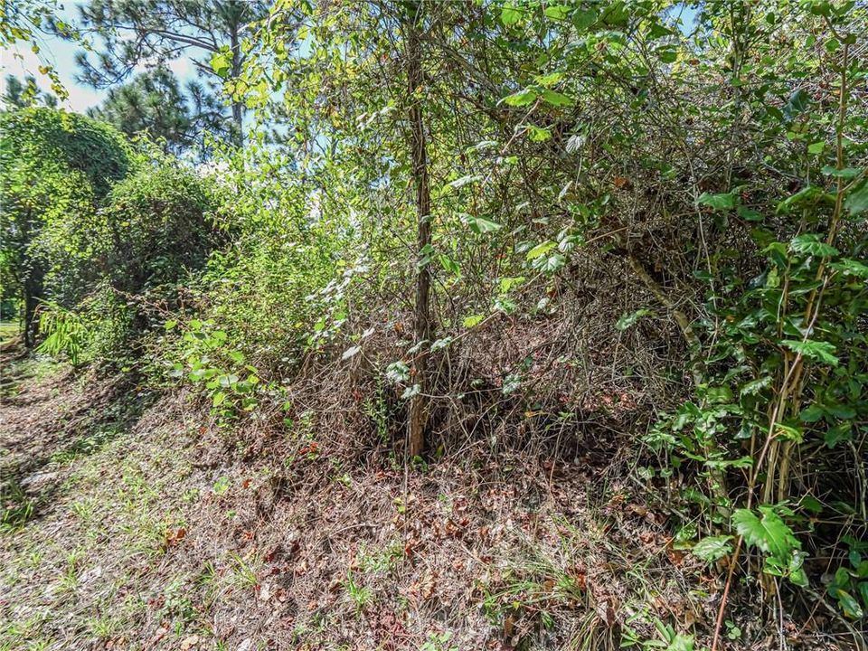 En Venta: $45,000 (0 camas, 0 baños, 0 Pies cuadrados)