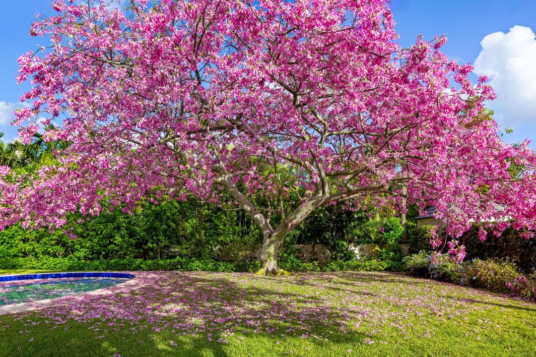 待售: $15,500,000 (0 贝兹, 0 浴室, 0 平方英尺)