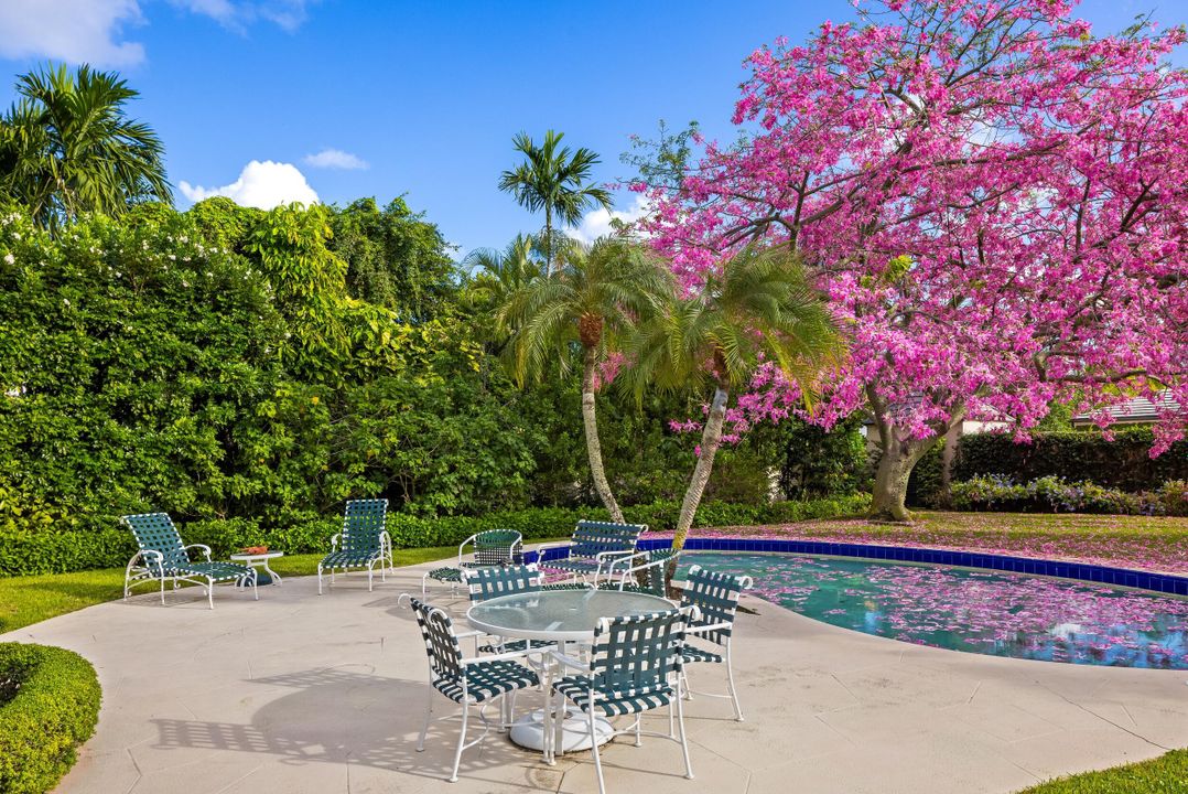 待售: $15,500,000 (0 贝兹, 0 浴室, 0 平方英尺)