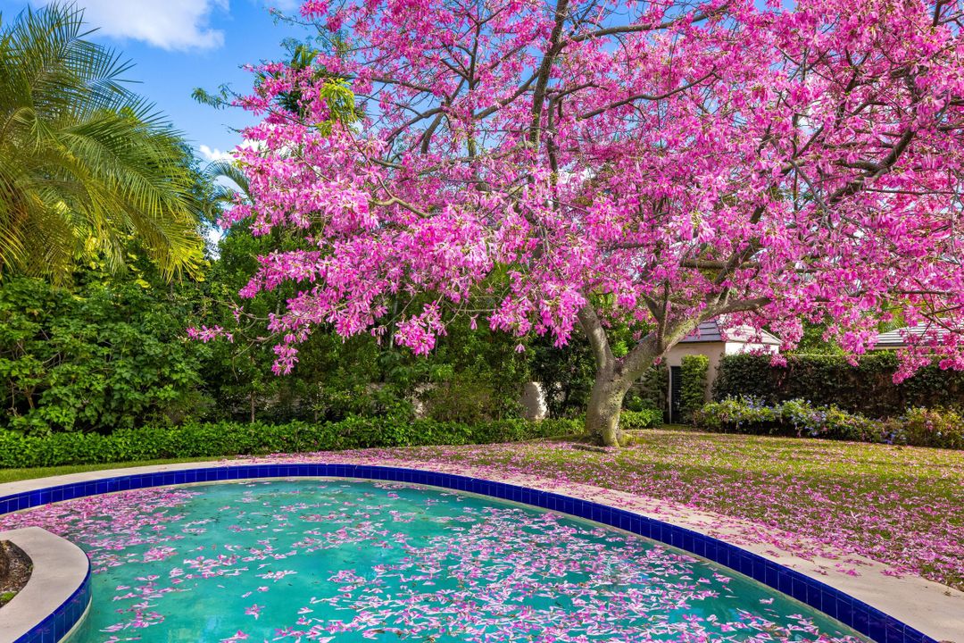 待售: $15,500,000 (0 贝兹, 0 浴室, 0 平方英尺)