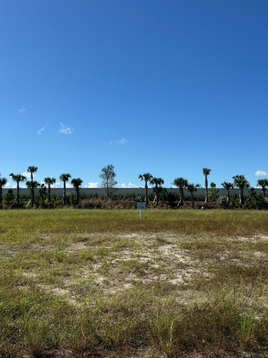 For Sale: $1,295,000 (0 beds, 0 baths, 0 Square Feet)