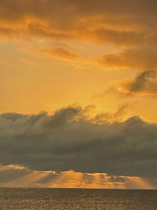 Active With Contract: $785,000 (3 beds, 3 baths, 1895 Square Feet)