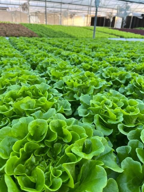 For Sale: $1,899,000 (0 beds, 0 baths, 601 Square Feet)