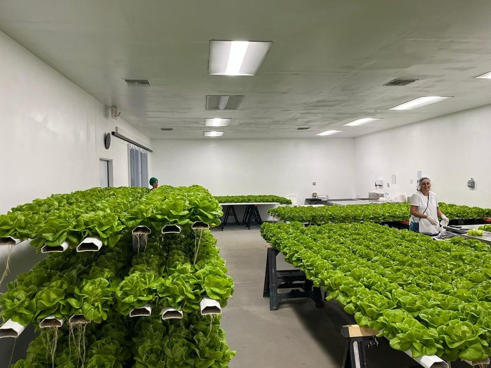 For Sale: $1,899,000 (0 beds, 0 baths, 601 Square Feet)