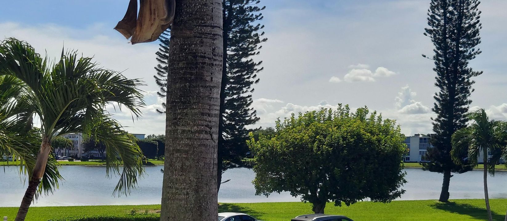 For Rent: $1,800 (2 beds, 2 baths, 916 Square Feet)