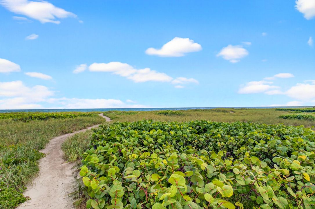 For Rent: $11,000 (2 beds, 1 baths, 836 Square Feet)