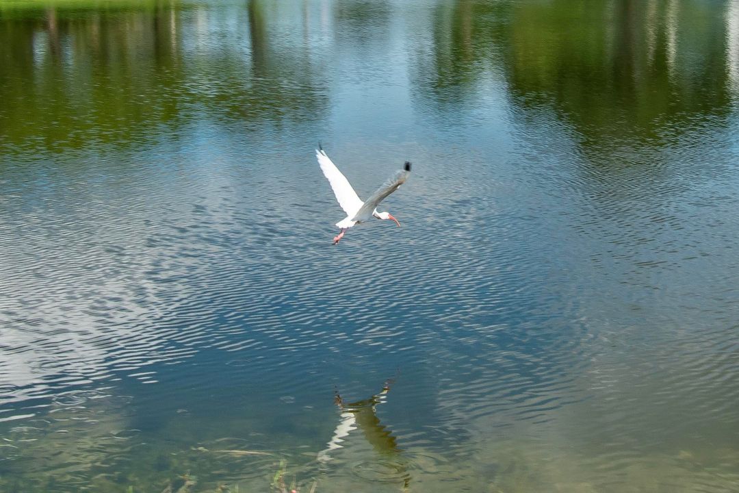 待售: $224,900 (2 贝兹, 2 浴室, 916 平方英尺)