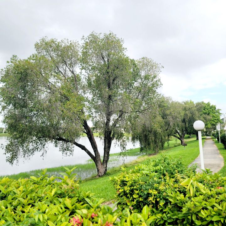 For Rent: $1,690 (1 beds, 1 baths, 802 Square Feet)