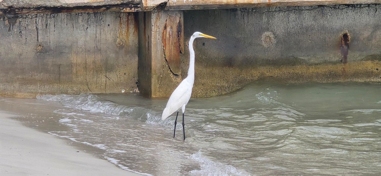 For Sale: $329,000 (2 beds, 2 baths, 1170 Square Feet)