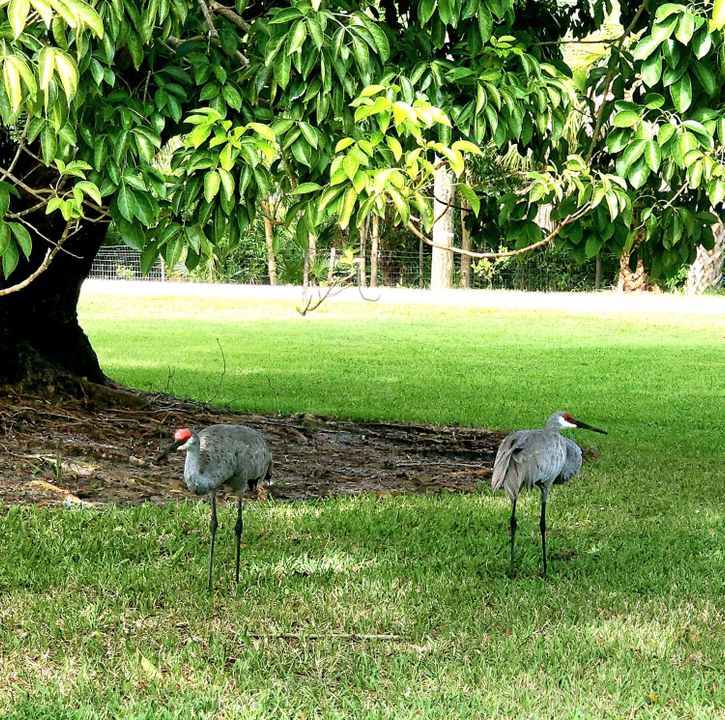 En Venta: $169,900 (2 camas, 2 baños, 891 Pies cuadrados)