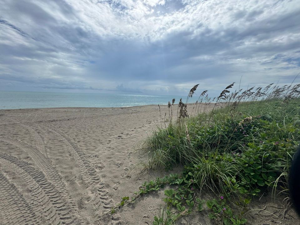 出租: $1,500 (0 贝兹, 1 浴室, 400 平方英尺)