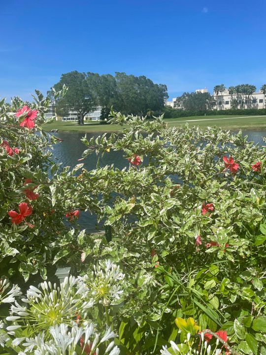 待售: $795,000 (3 贝兹, 2 浴室, 2380 平方英尺)