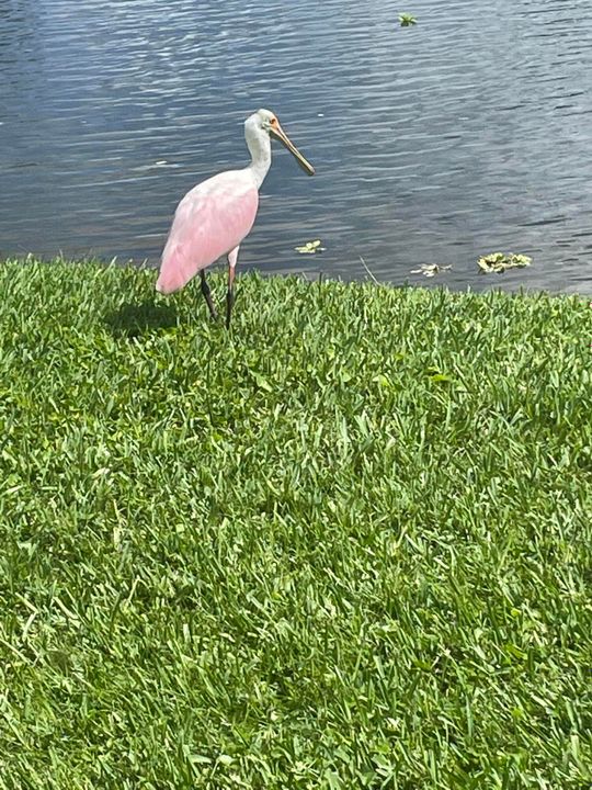 待售: $795,000 (3 贝兹, 2 浴室, 2380 平方英尺)