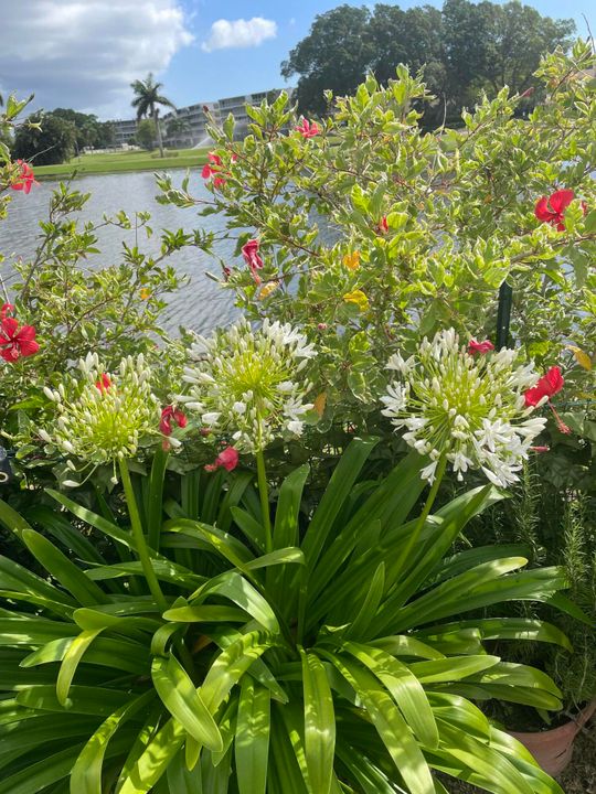 待售: $795,000 (3 贝兹, 2 浴室, 2380 平方英尺)