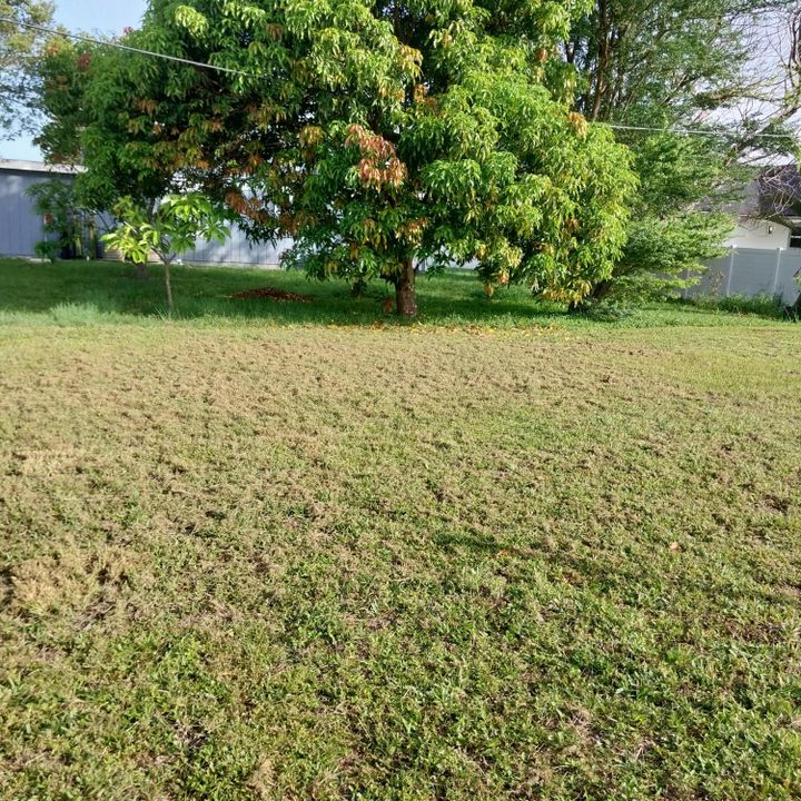 For Sale: $274,900 (2 beds, 1 baths, 1170 Square Feet)