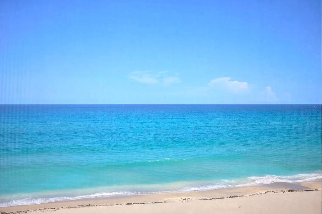 En Renta: $4,900 (2 camas, 2 baños, 1295 Pies cuadrados)