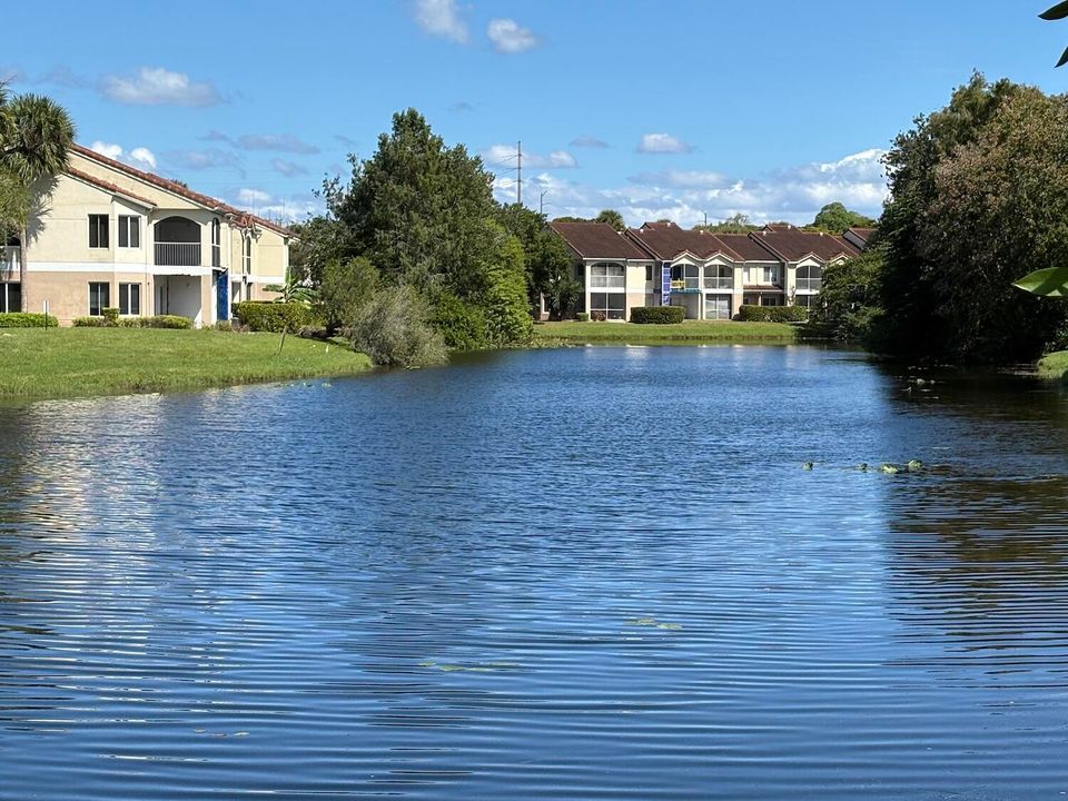 For Sale: $175,000 (1 beds, 1 baths, 768 Square Feet)