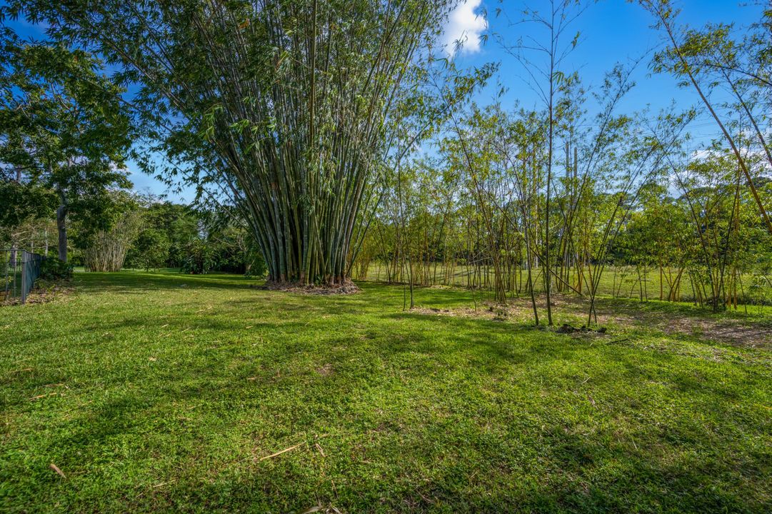 合同活跃: $10,000 (5 贝兹, 4 浴室, 4086 平方英尺)