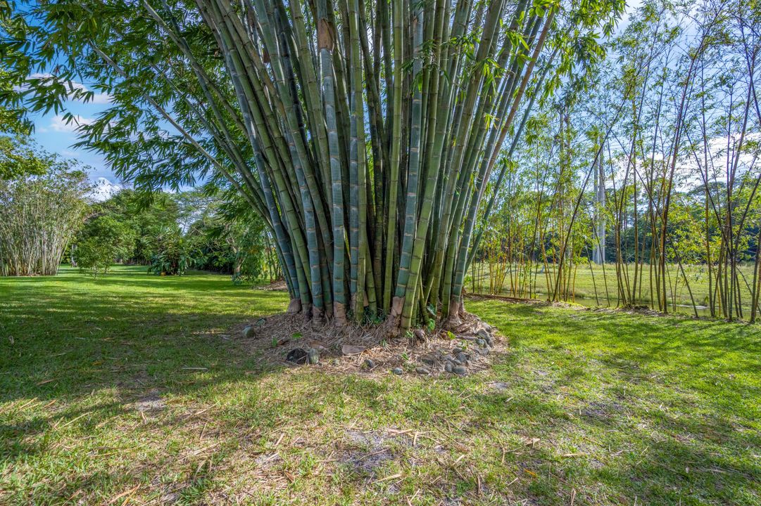 合同活跃: $10,000 (5 贝兹, 4 浴室, 4086 平方英尺)