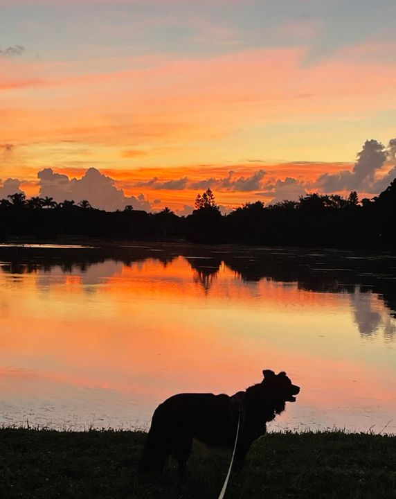 待售: $385,000 (2 贝兹, 2 浴室, 1420 平方英尺)