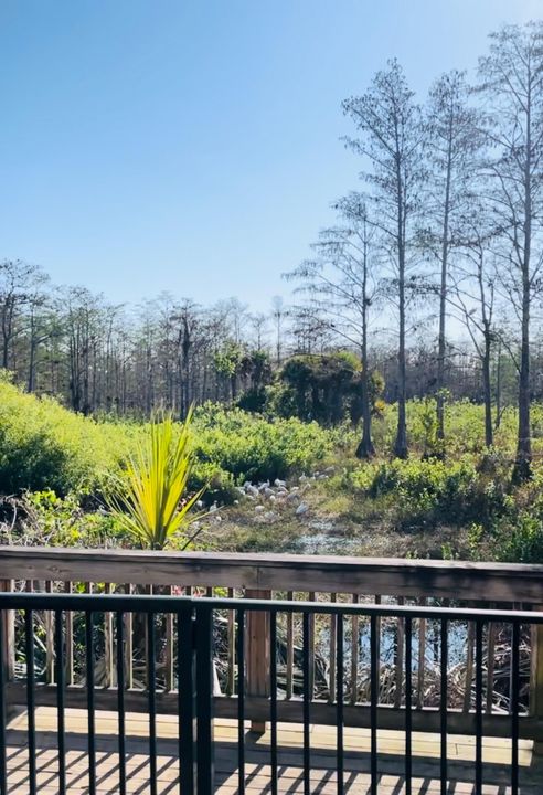 合同活跃: $3,500 (3 贝兹, 2 浴室, 2278 平方英尺)