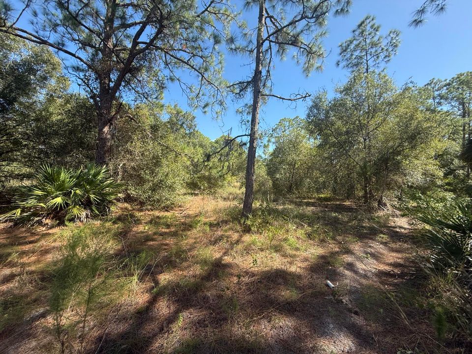 En Venta: $78,500 (0 camas, 0 baños, 0 Pies cuadrados)