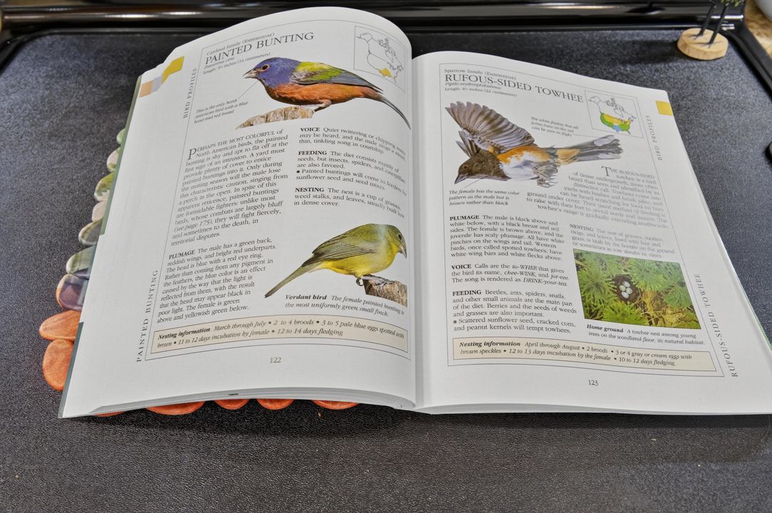 合同活跃: $385,000 (3 贝兹, 2 浴室, 1570 平方英尺)