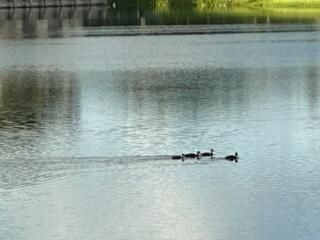 For Rent: $3,000 (3 beds, 2 baths, 1389 Square Feet)