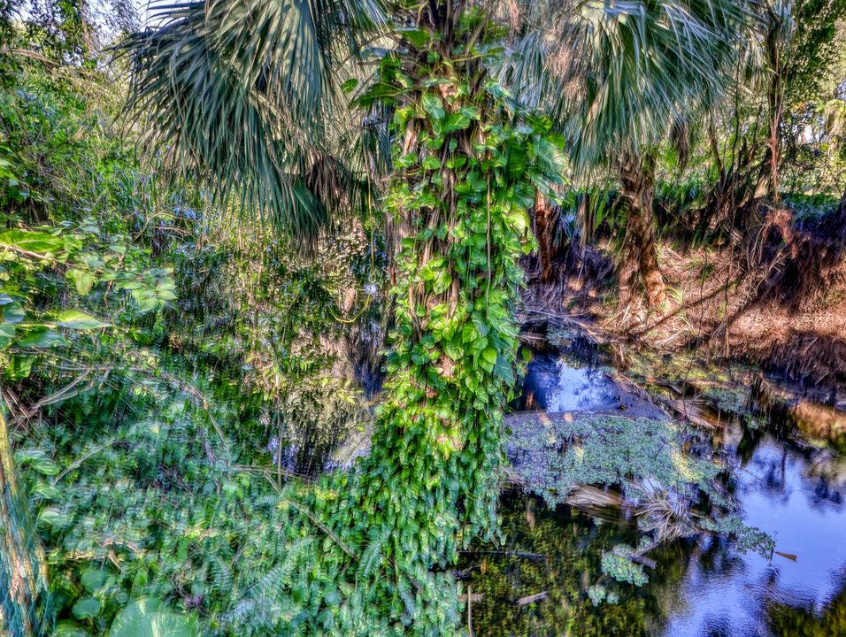 Под контрактом: $499,000 (3 спален, 2 ванн, 1672 Квадратных фут)