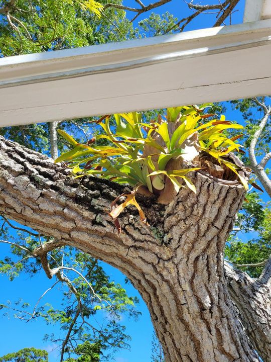 На продажу: $219,900 (2 спален, 2 ванн, 1134 Квадратных фут)