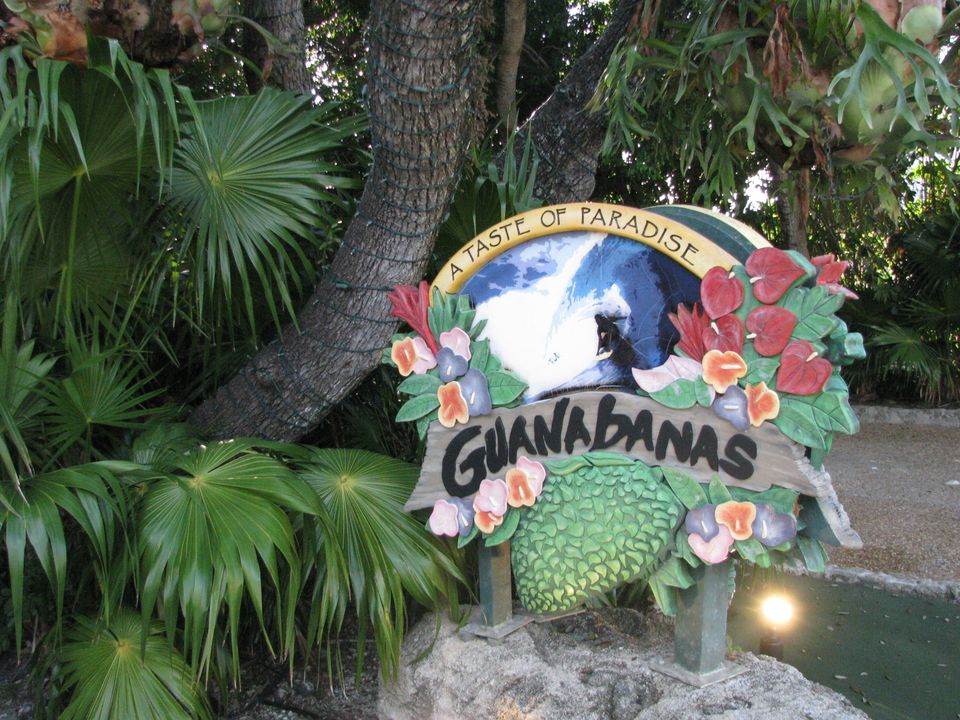 Active With Contract: $1,200,000 (3 beds, 2 baths, 1528 Square Feet)