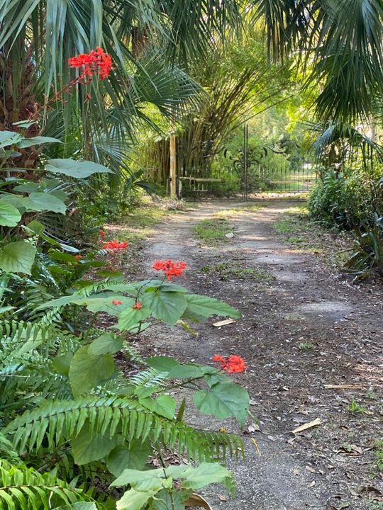 Active With Contract: $1,200,000 (3 beds, 2 baths, 1528 Square Feet)
