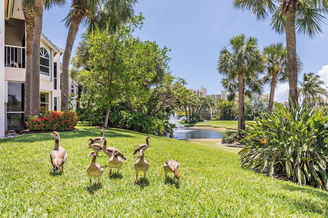 В аренду: $6,500 (2 спален, 2 ванн, 1195 Квадратных фут)