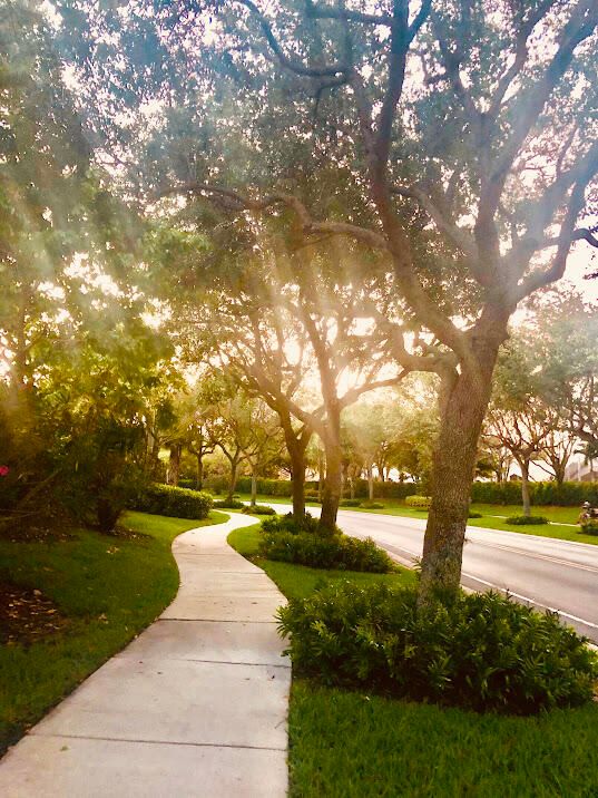 合同活跃: $4,500 (3 贝兹, 2 浴室, 1612 平方英尺)