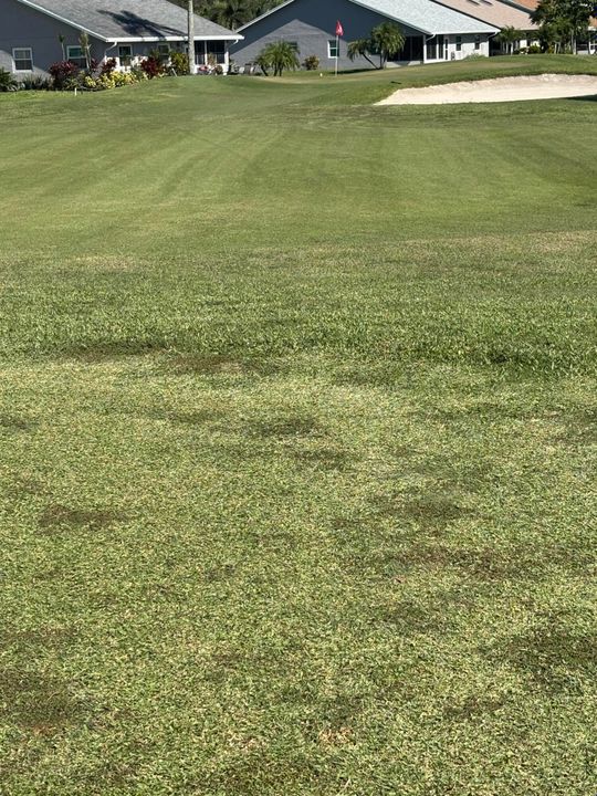 For Rent: $1,900 (3 beds, 2 baths, 1374 Square Feet)