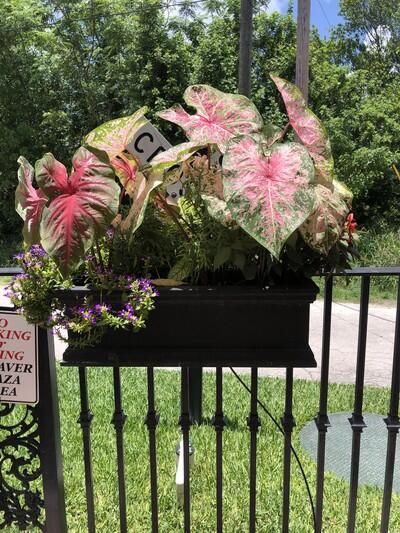 待售: $15,000 (0 贝兹, 0 浴室, 0 平方英尺)