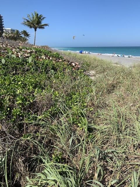 For Sale: $949,999 (2 beds, 2 baths, 1034 Square Feet)