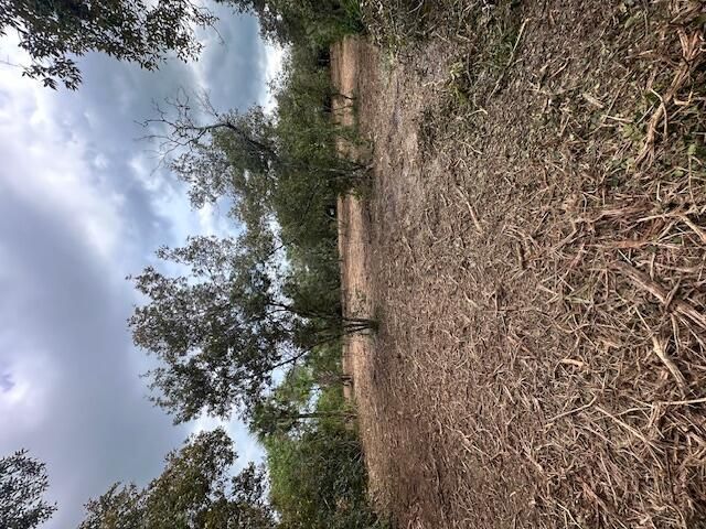 待售: $180,000 (0 贝兹, 0 浴室, 0 平方英尺)