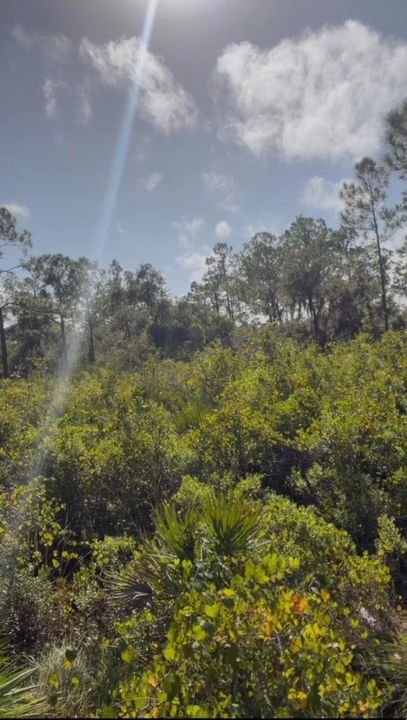 En Venta: $16,900 (0 camas, 0 baños, 0 Pies cuadrados)