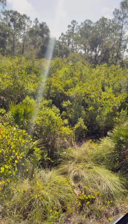 For Sale: $16,900 (0 beds, 0 baths, 0 Square Feet)