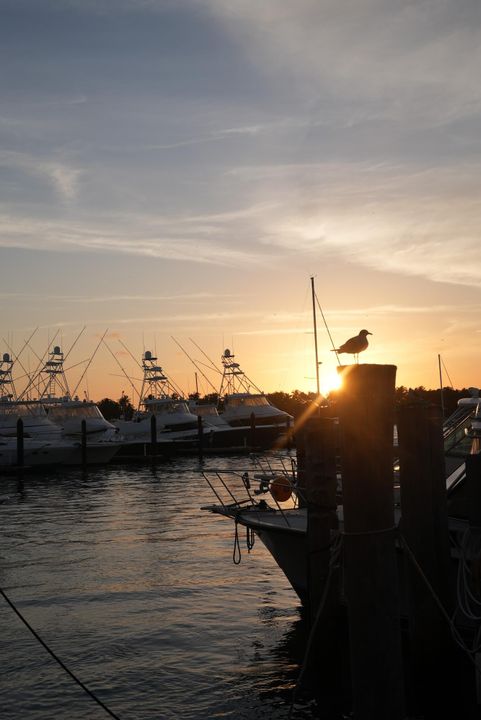 For Sale: $1,250,000 (2 beds, 2 baths, 1823 Square Feet)