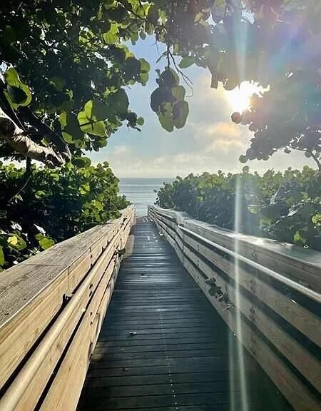 Под контрактом: $5,900 (2 спален, 2 ванн, 1100 Квадратных фут)