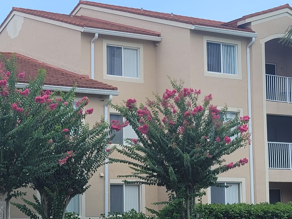 В аренду: $1,600 (1 спален, 1 ванн, 815 Квадратных фут)