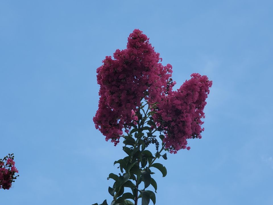 В аренду: $1,600 (1 спален, 1 ванн, 815 Квадратных фут)