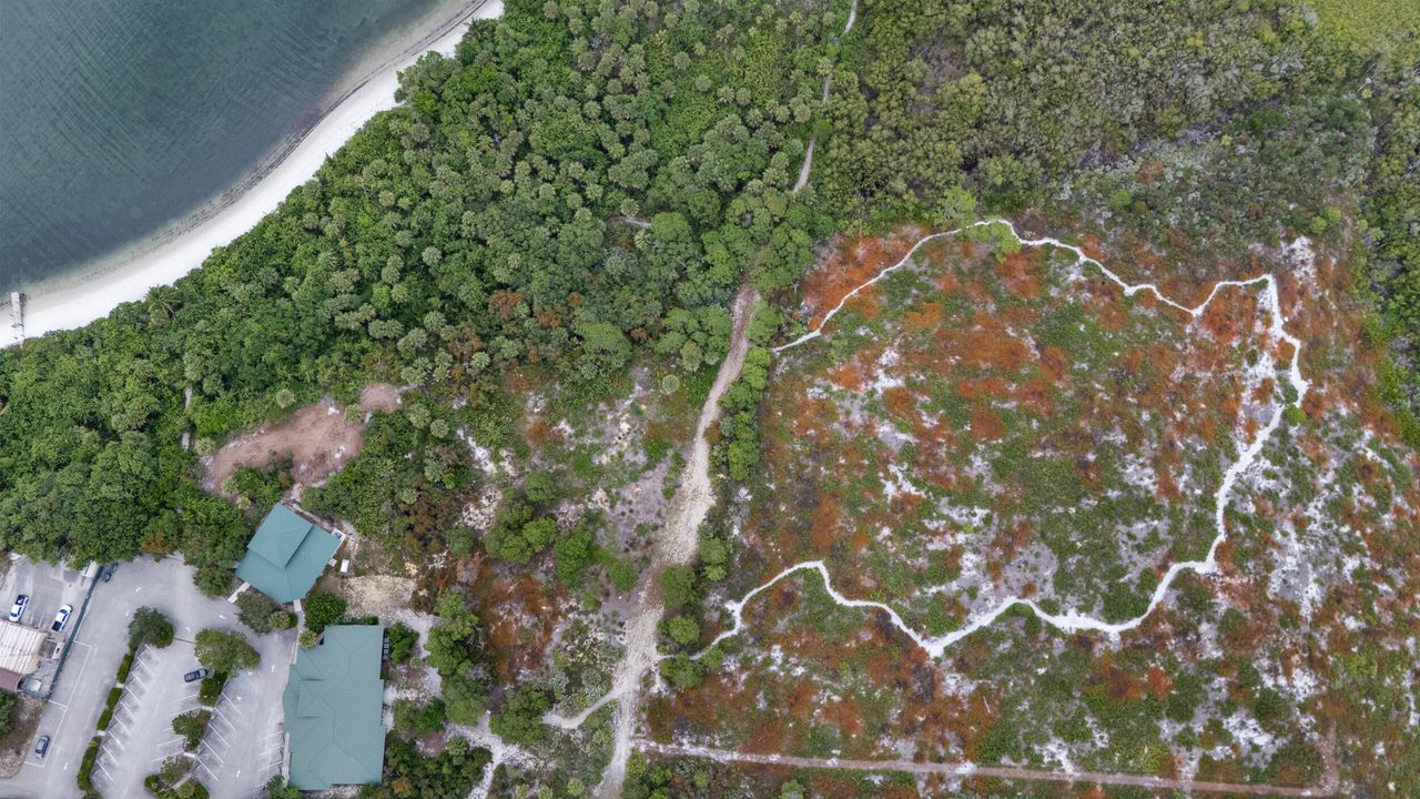 待售: $559,900 (3 贝兹, 2 浴室, 1714 平方英尺)