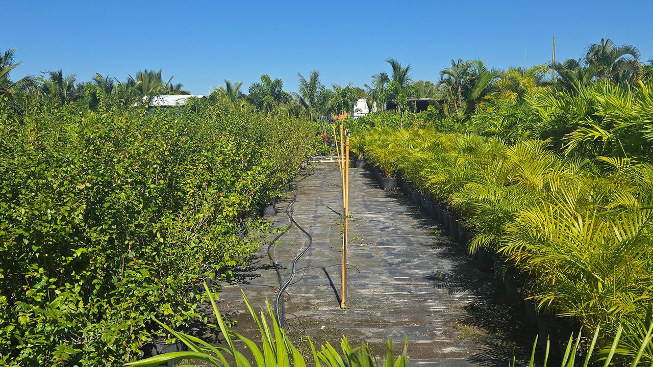 For Sale: $625,000 (0 beds, 0 baths, 0 Square Feet)