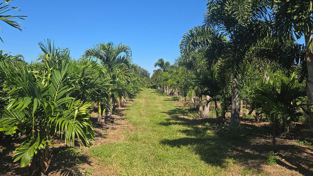 For Sale: $625,000 (0 beds, 0 baths, 0 Square Feet)